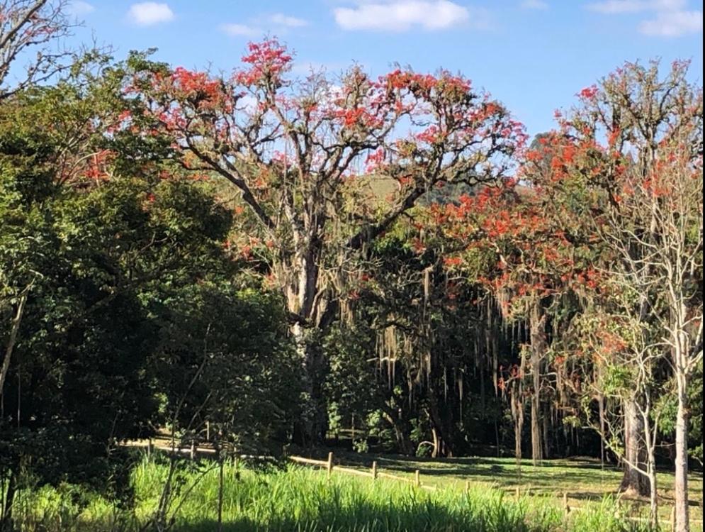 Conservatória Vivenda Dos Guaranys -Um Projeto Ecologico - Casaヴィラ エクステリア 写真