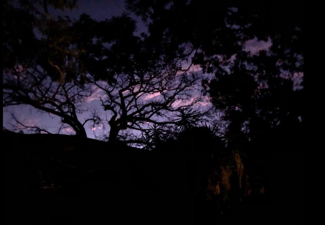 Conservatória Vivenda Dos Guaranys -Um Projeto Ecologico - Casaヴィラ エクステリア 写真