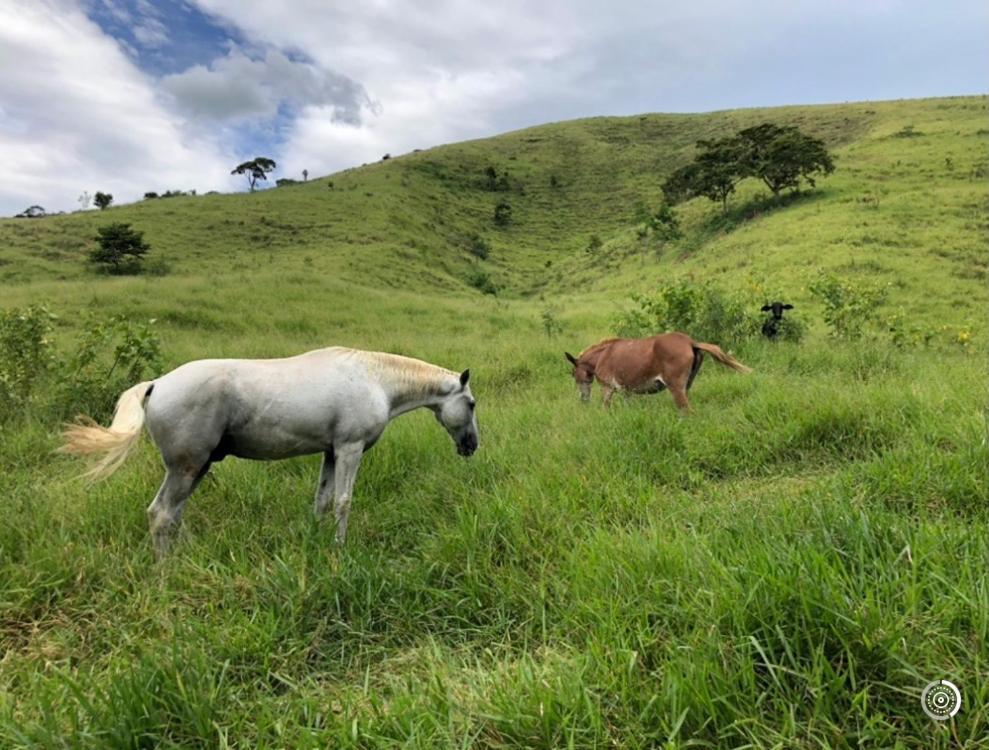 Conservatória Vivenda Dos Guaranys -Um Projeto Ecologico - Casaヴィラ エクステリア 写真