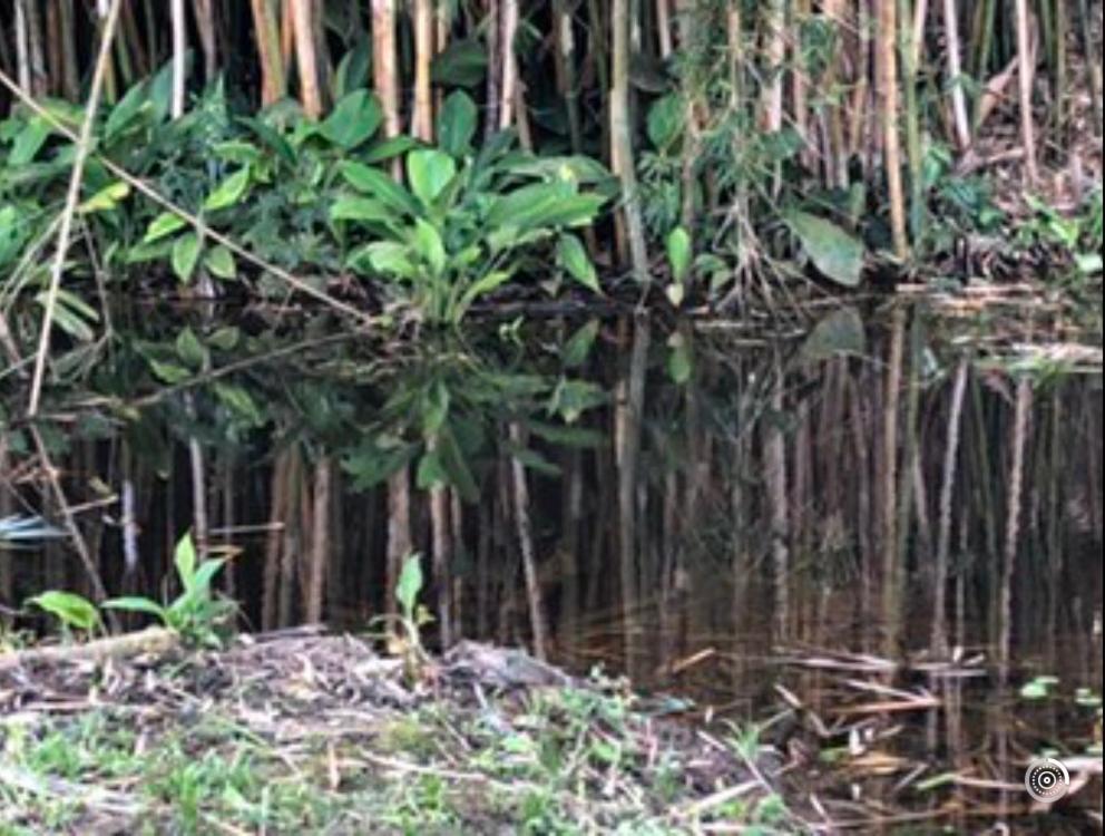 Conservatória Vivenda Dos Guaranys -Um Projeto Ecologico - Casaヴィラ エクステリア 写真