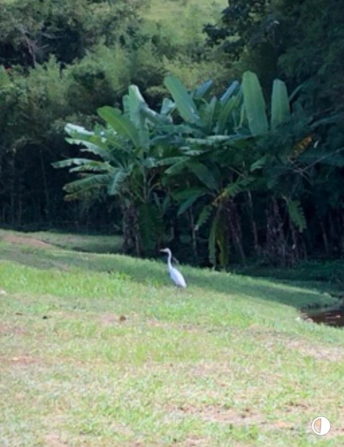 Conservatória Vivenda Dos Guaranys -Um Projeto Ecologico - Casaヴィラ エクステリア 写真