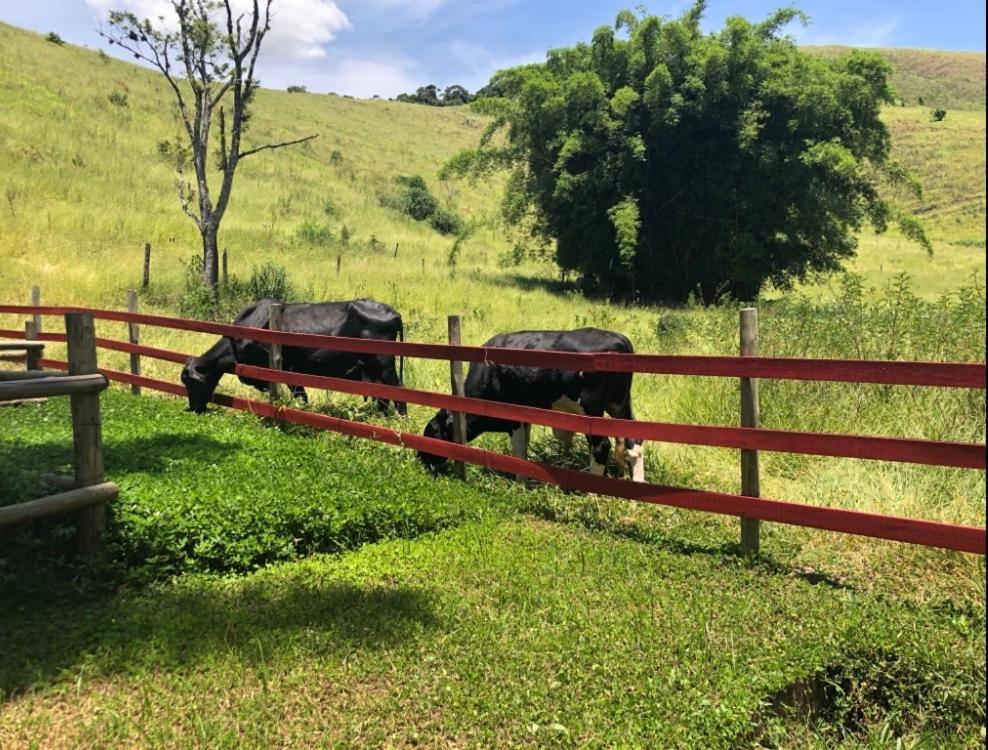 Conservatória Vivenda Dos Guaranys -Um Projeto Ecologico - Casaヴィラ エクステリア 写真