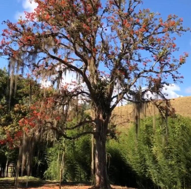 Conservatória Vivenda Dos Guaranys -Um Projeto Ecologico - Casaヴィラ エクステリア 写真