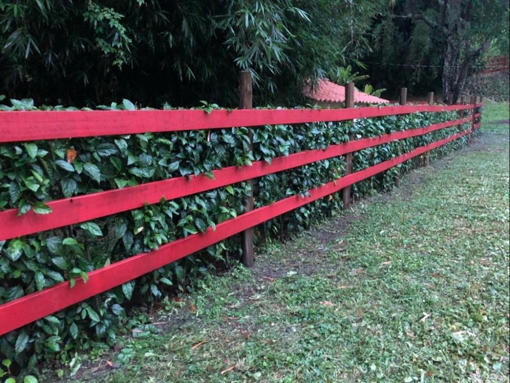 Conservatória Vivenda Dos Guaranys -Um Projeto Ecologico - Casaヴィラ エクステリア 写真