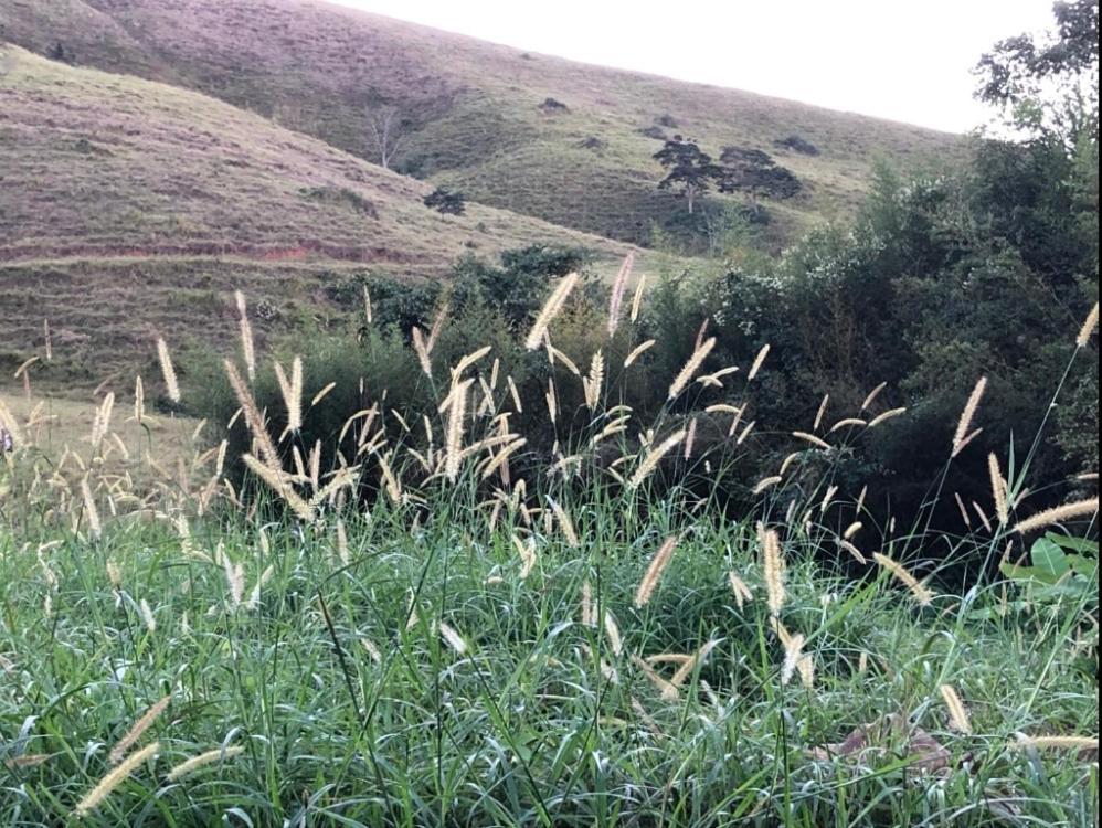 Conservatória Vivenda Dos Guaranys -Um Projeto Ecologico - Casaヴィラ エクステリア 写真