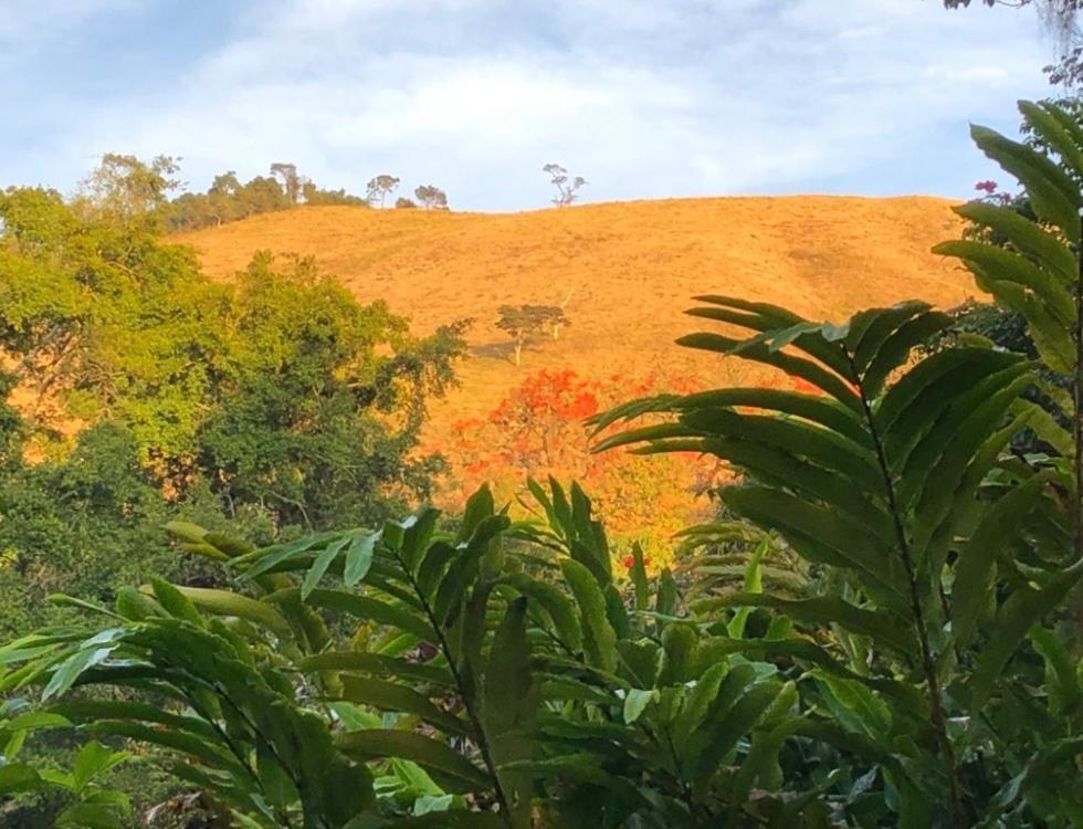 Conservatória Vivenda Dos Guaranys -Um Projeto Ecologico - Casaヴィラ エクステリア 写真
